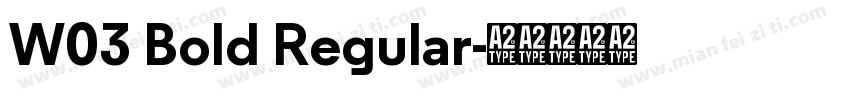 W03 Bold Regular字体转换